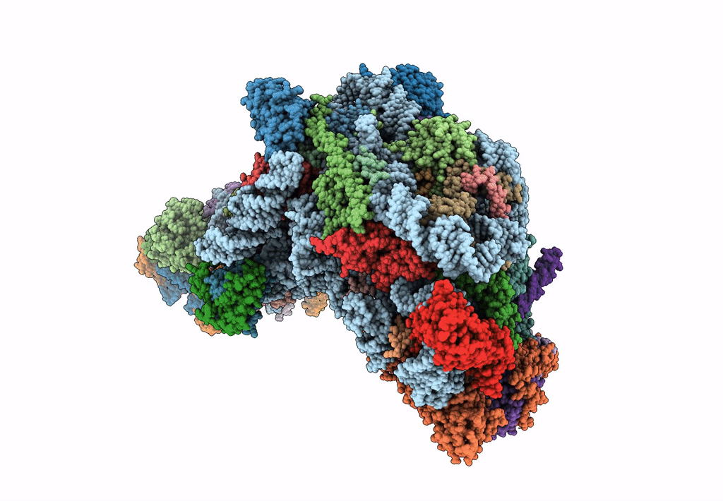 6EM1 image