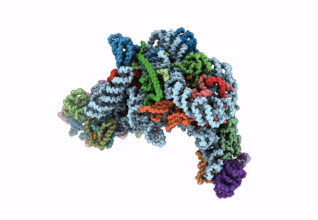6EM4 image