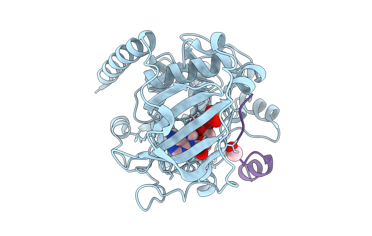 6EM6 image