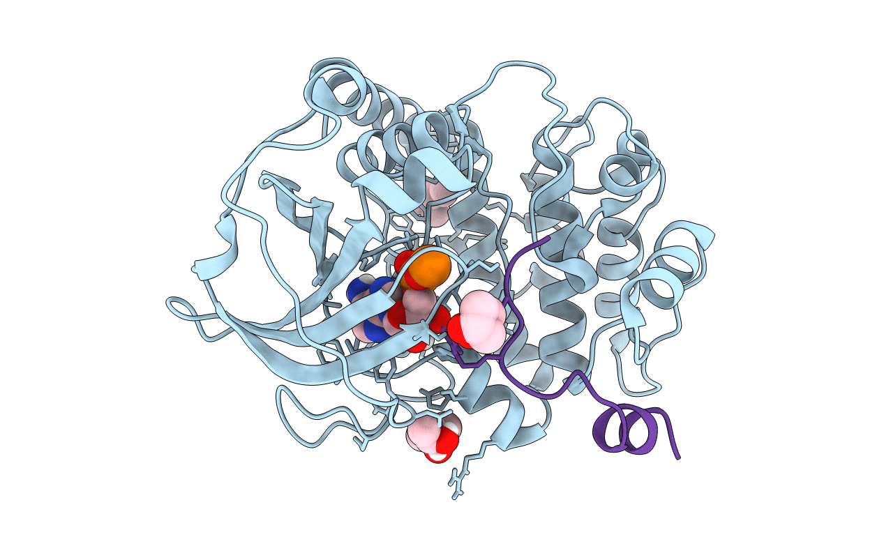 6EM7 image