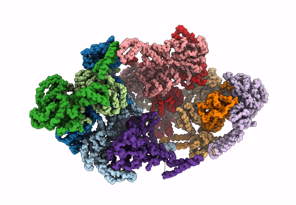 6EM8 image