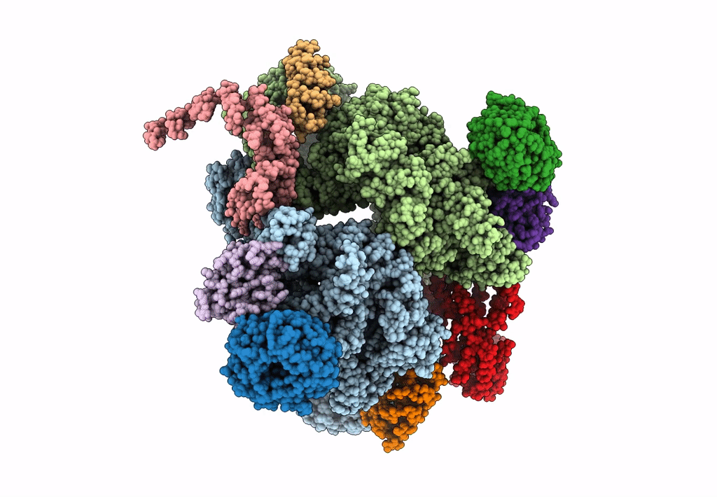 6EMK image