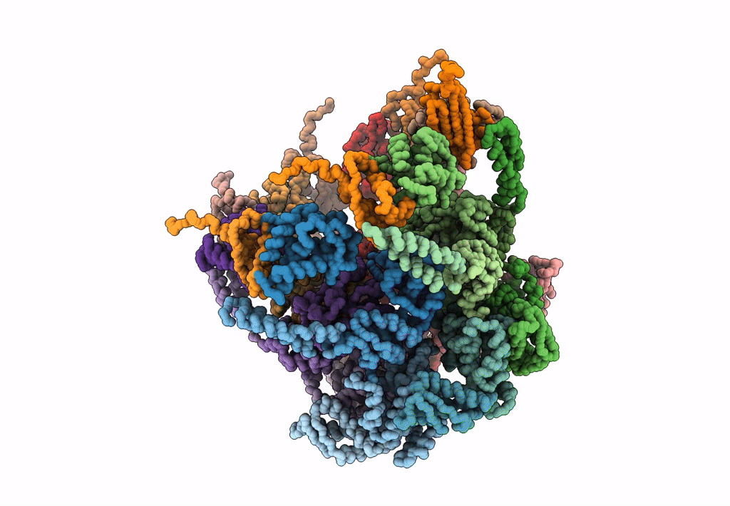 6EMW image