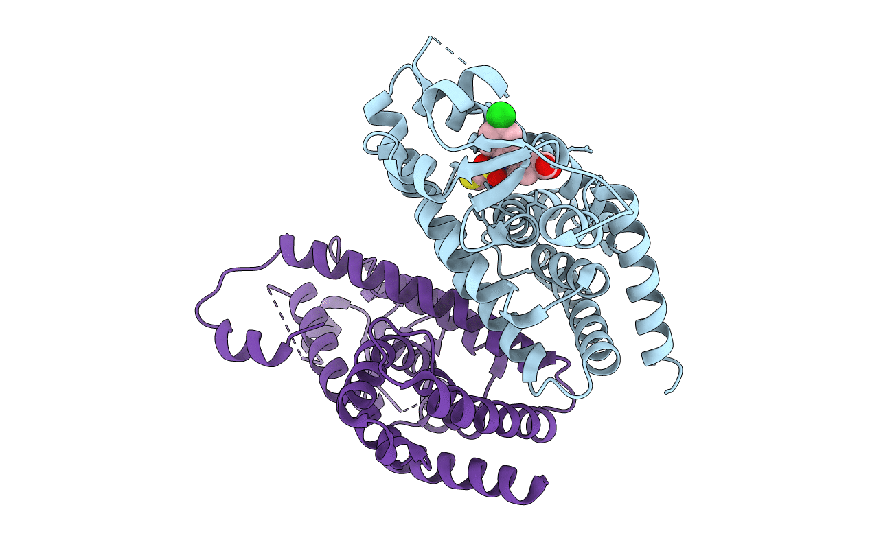 6ENQ image
