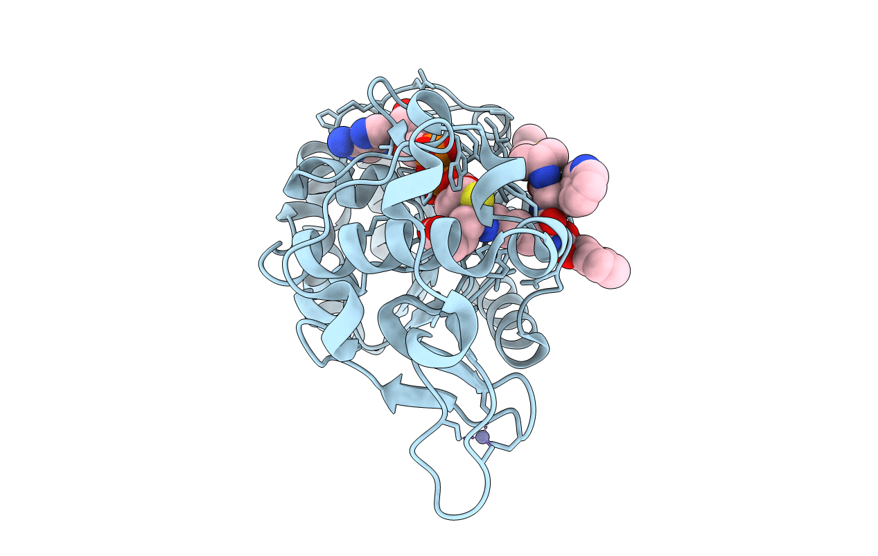 6ENX image