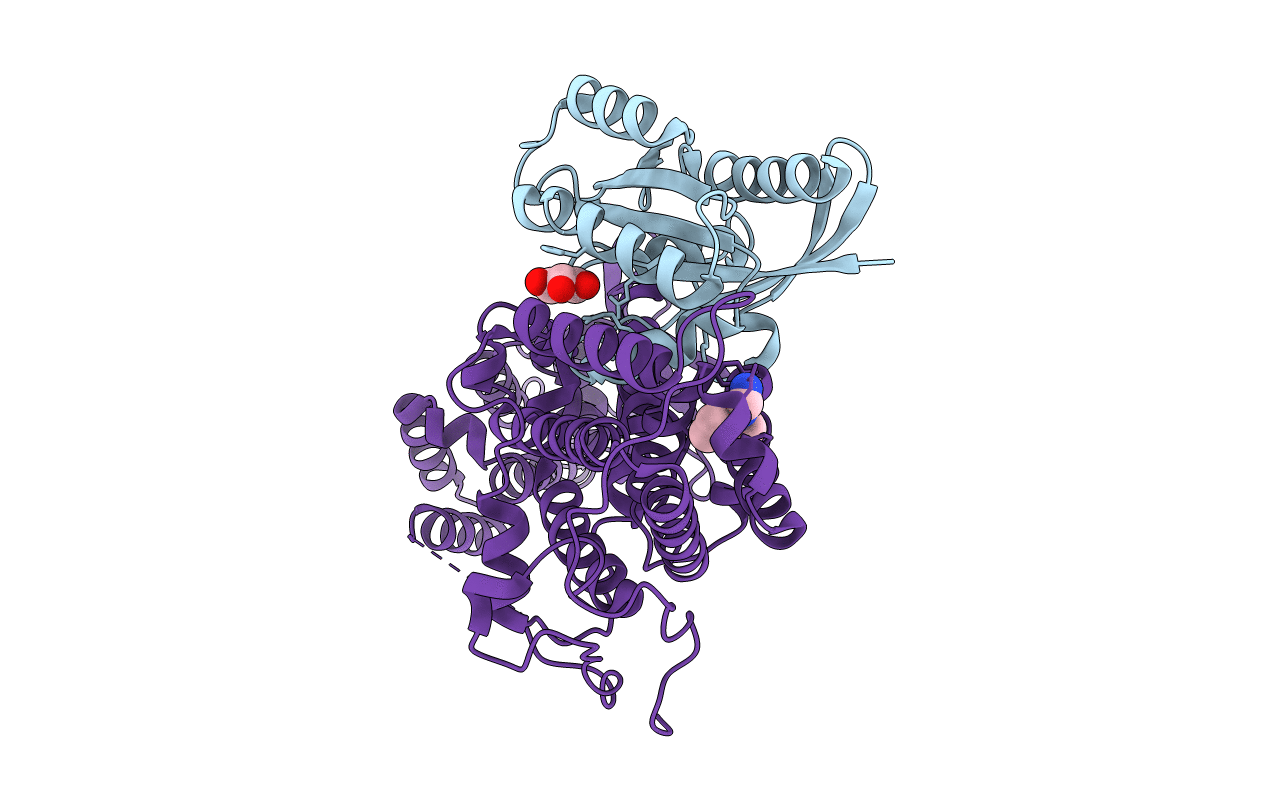 6EPM image