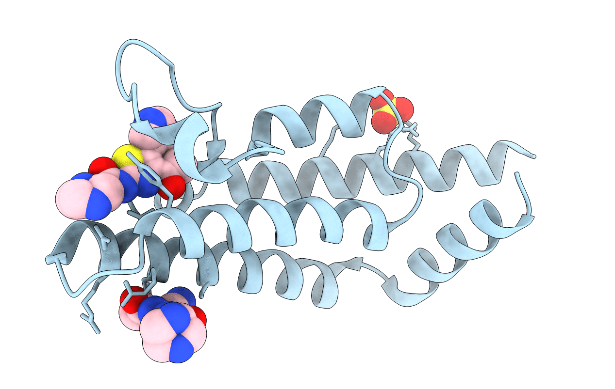 6EPT image