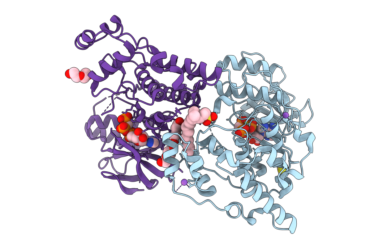 6EQ9 image