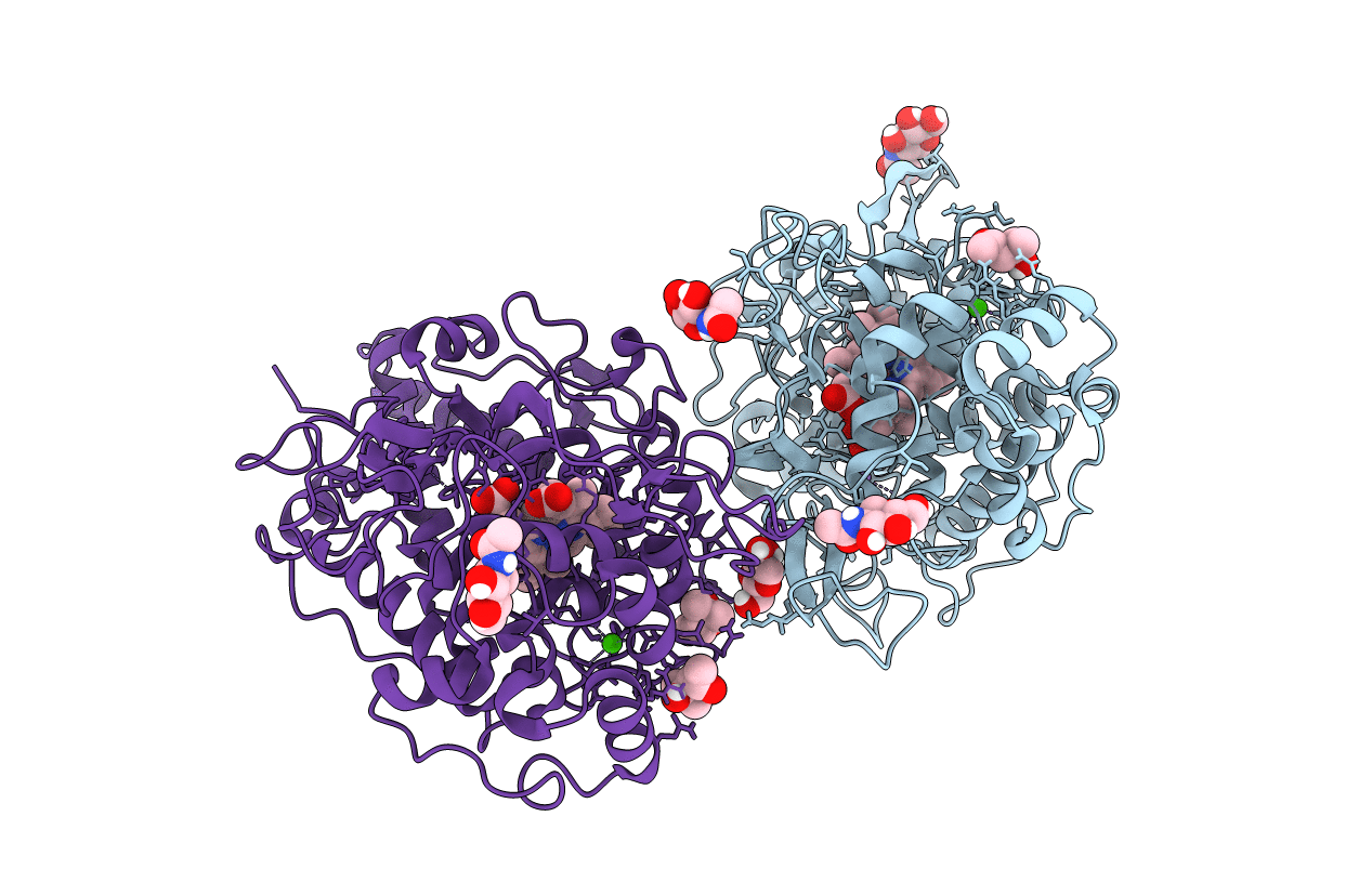 6ERC image