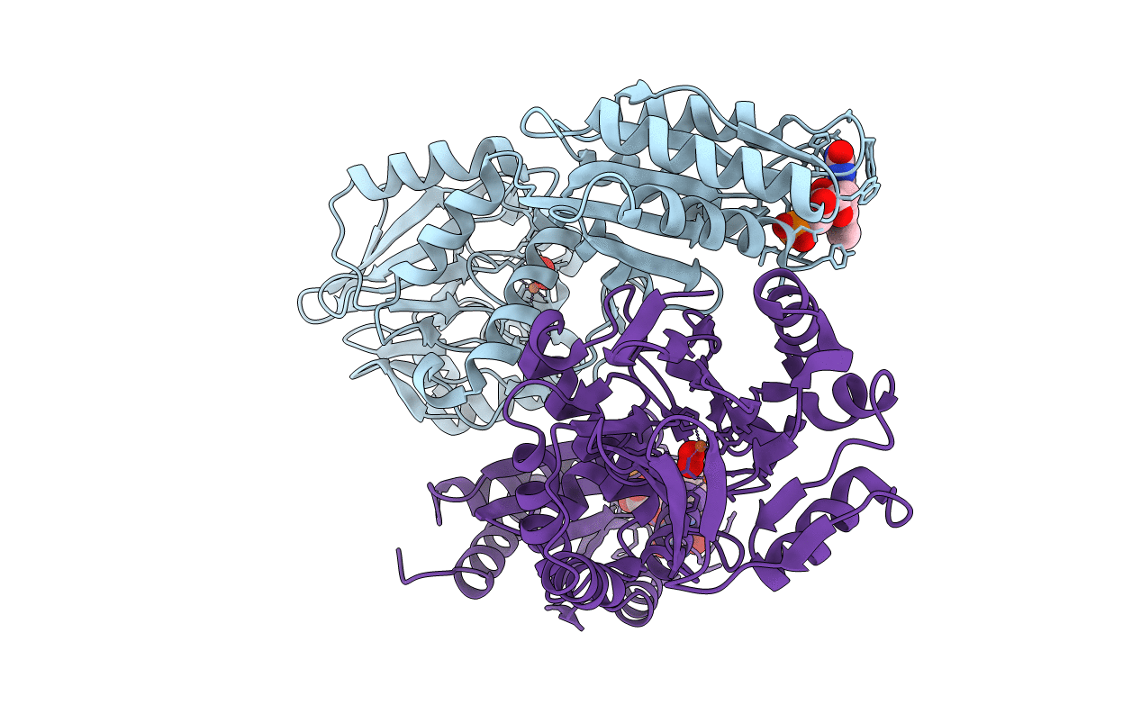 6ETB image