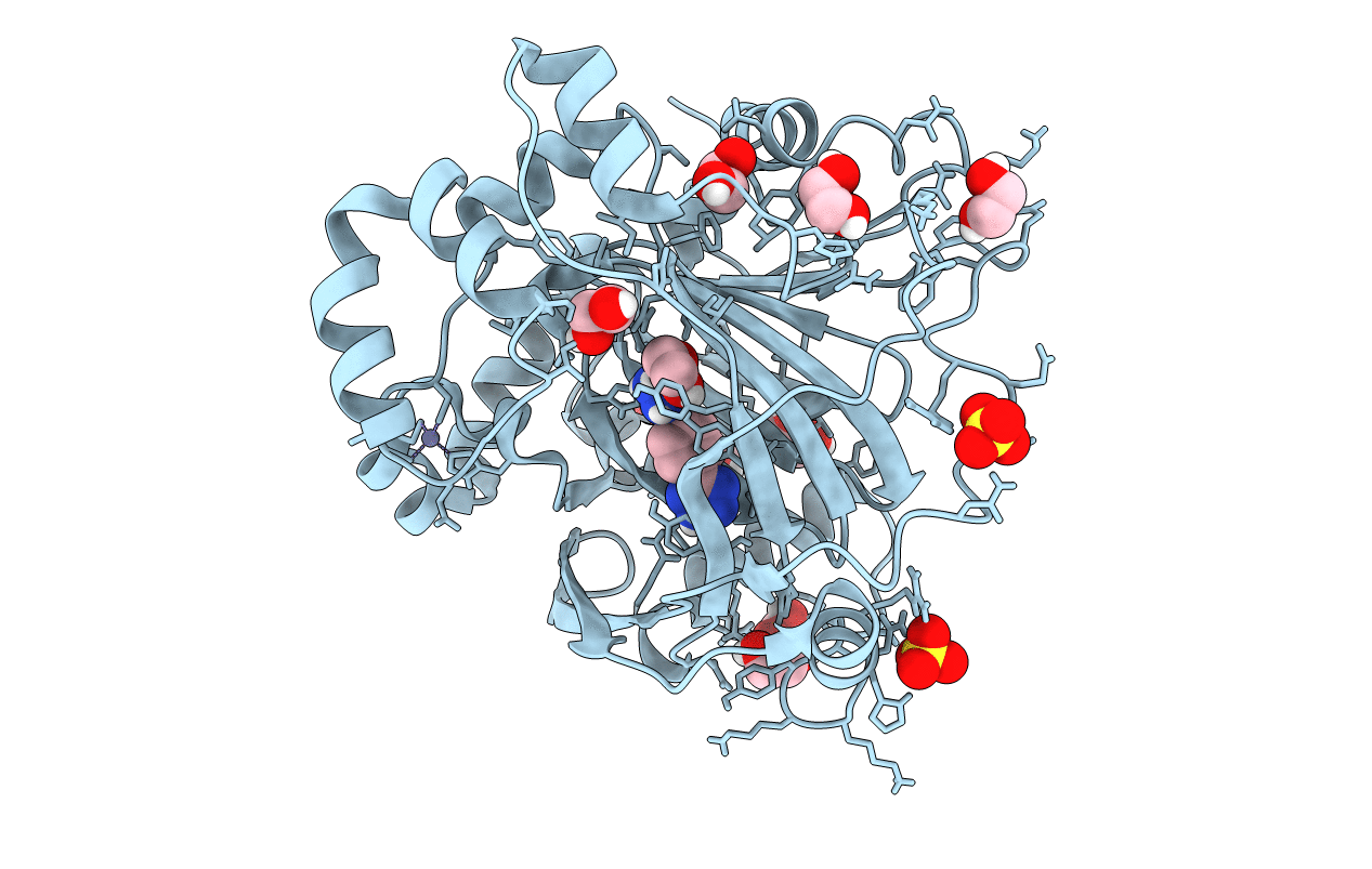 6ETG image