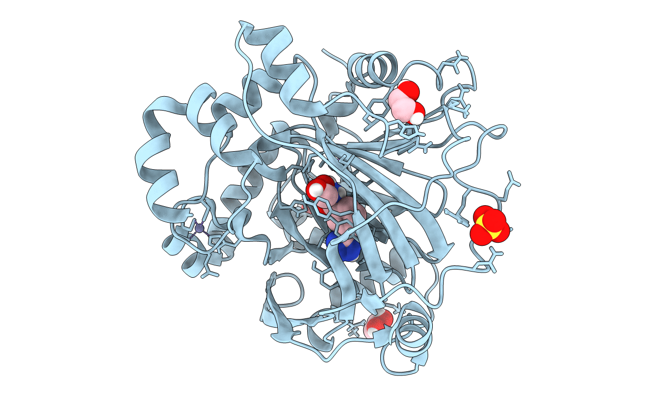 6ETU image