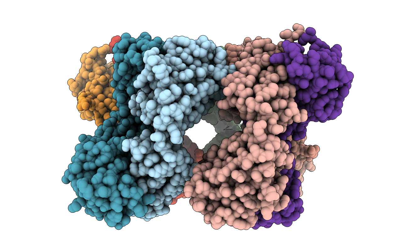 6EV2 image