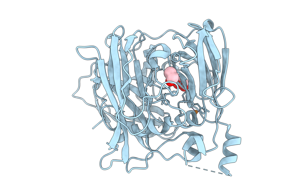 6EVG image