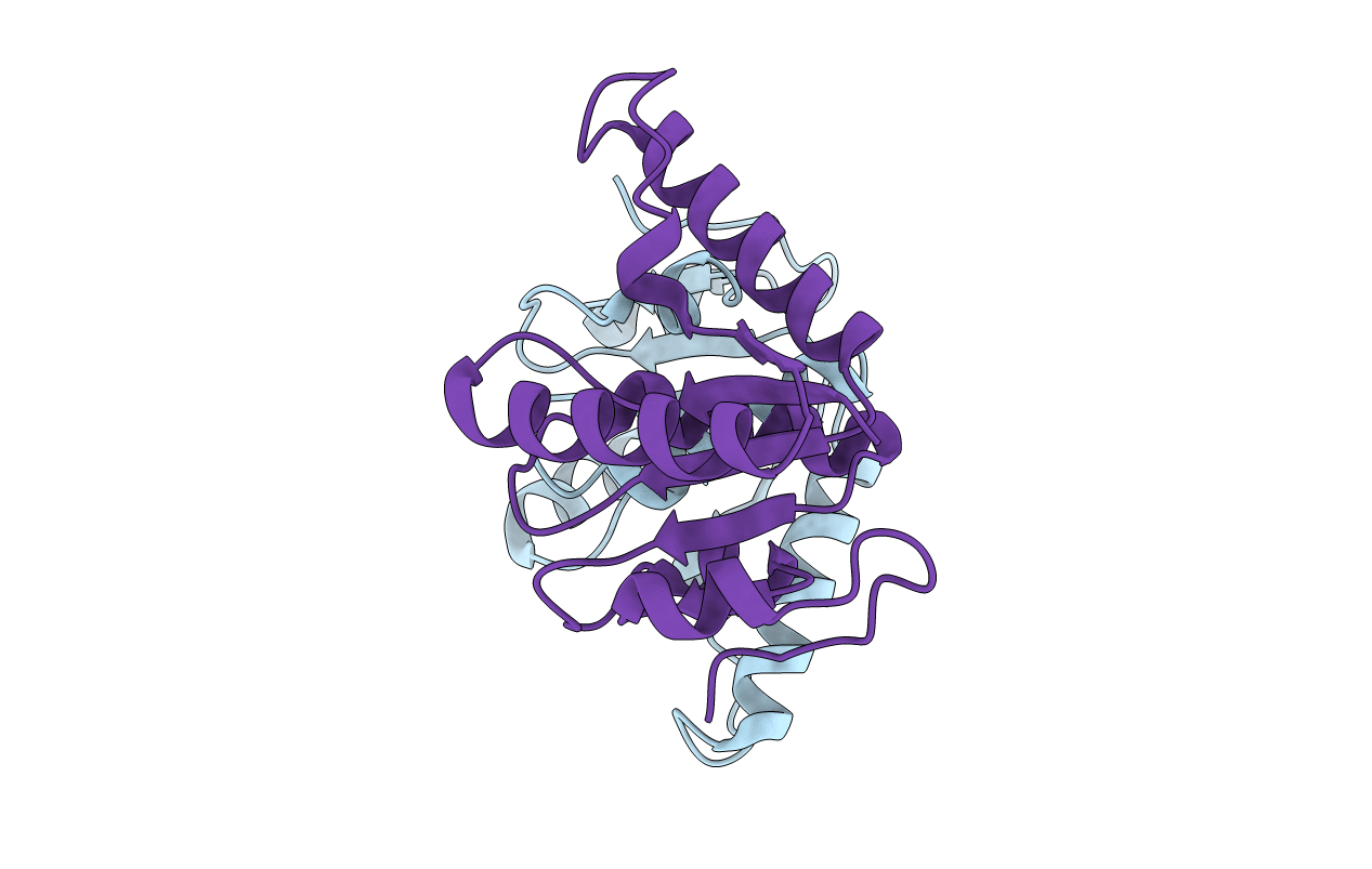 6EVS image