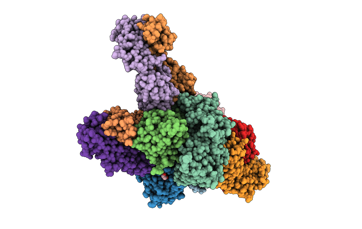 6EWB image