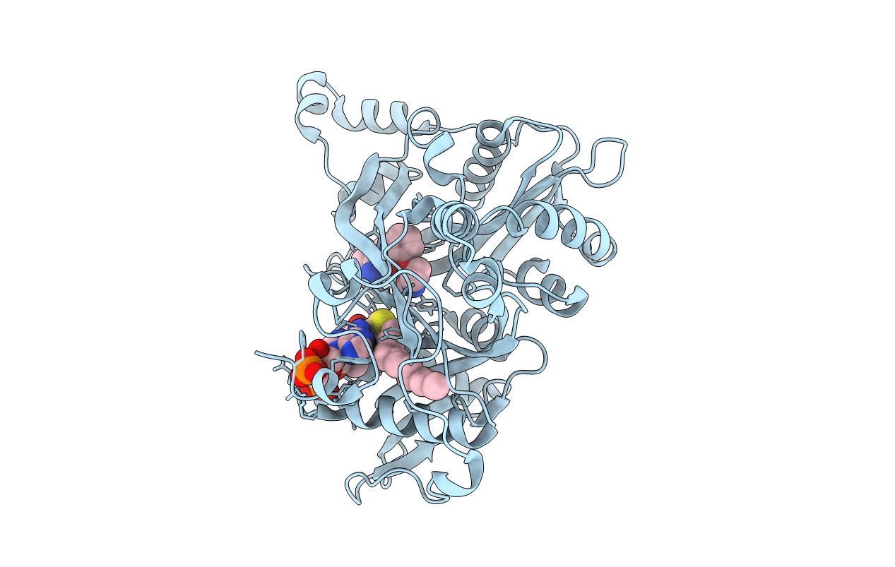 6EWF image