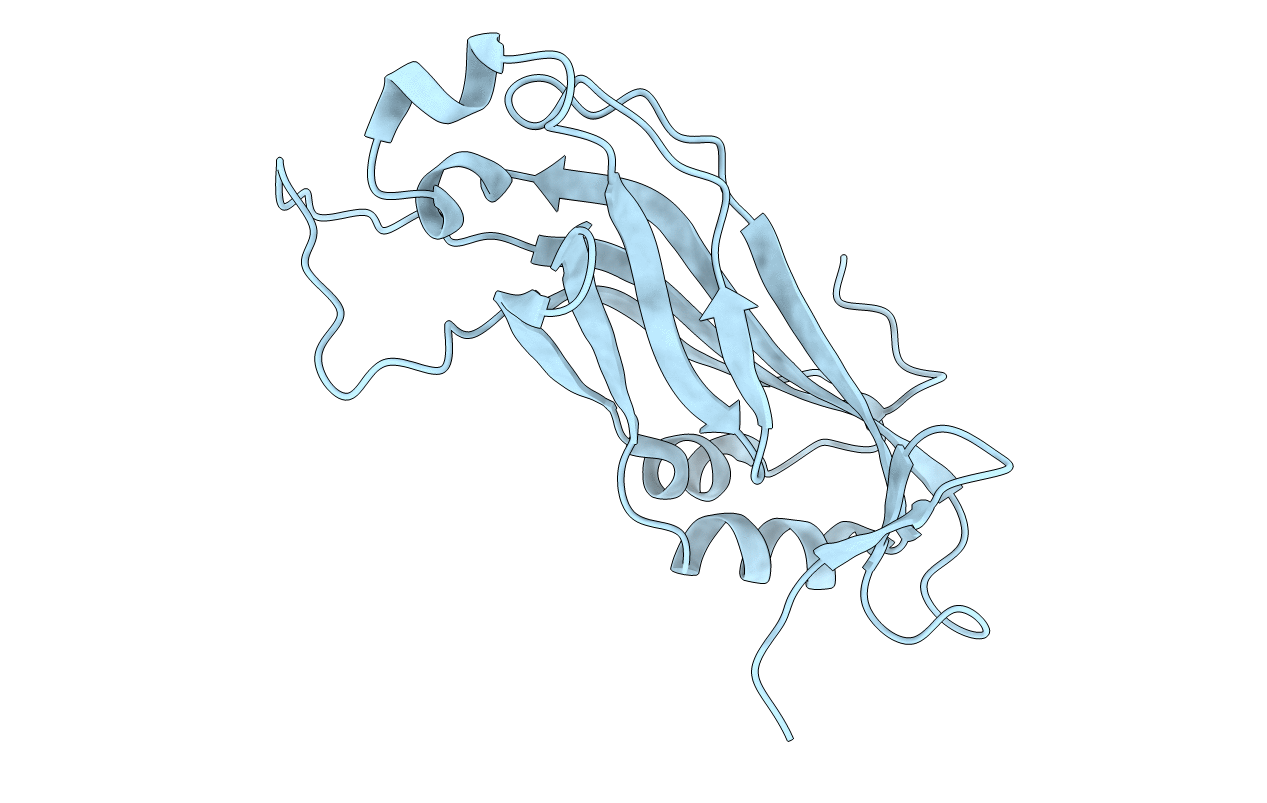 6EWG image