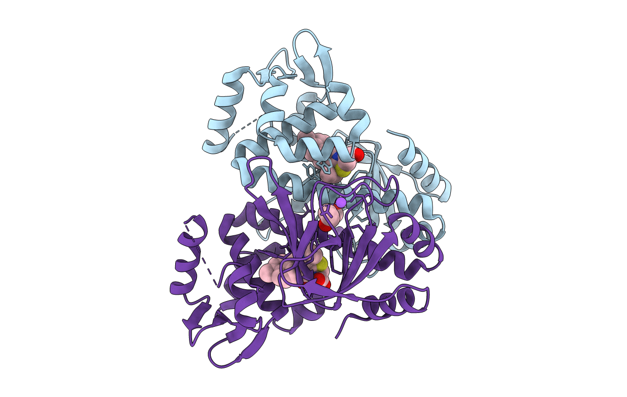 6EXK image