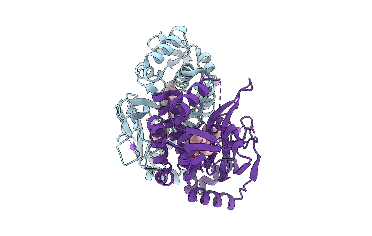 6EXL image