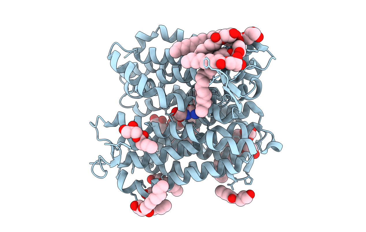 6EXS image