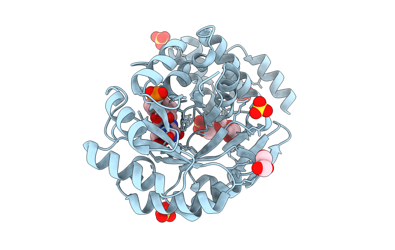 6EZC image