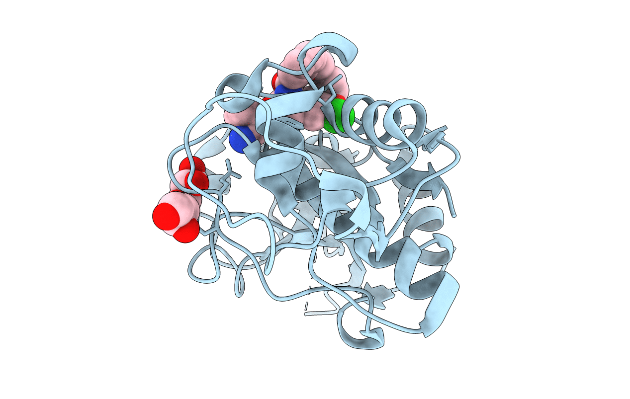 6EZP image