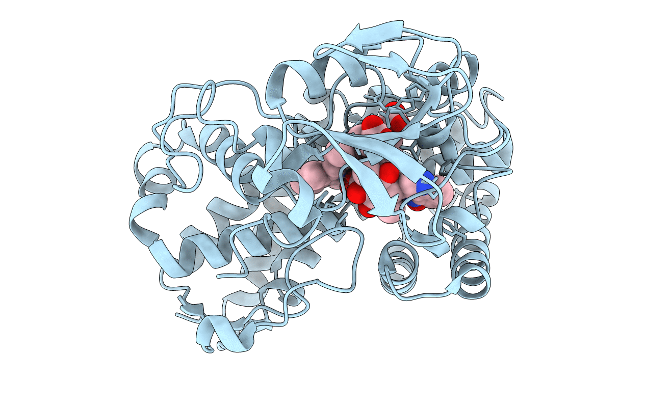 6F0C image