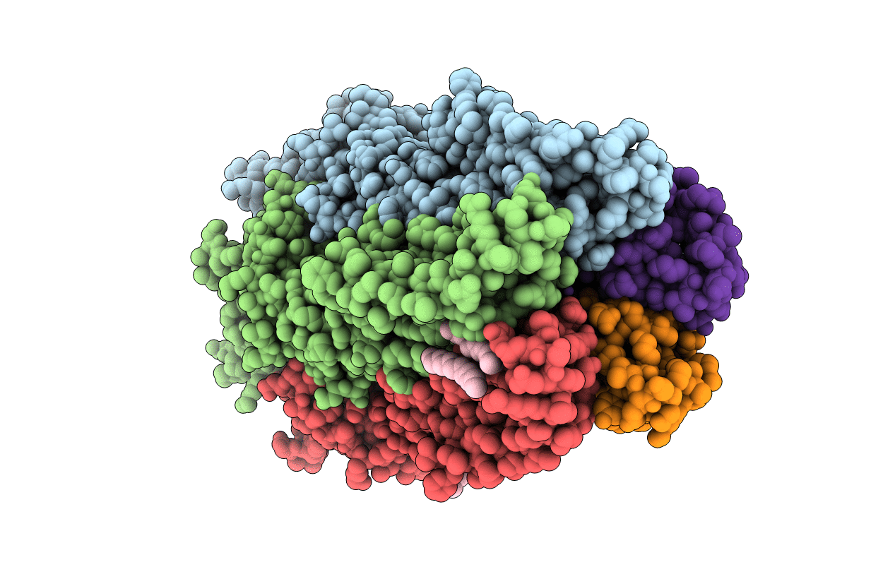 6F0I image