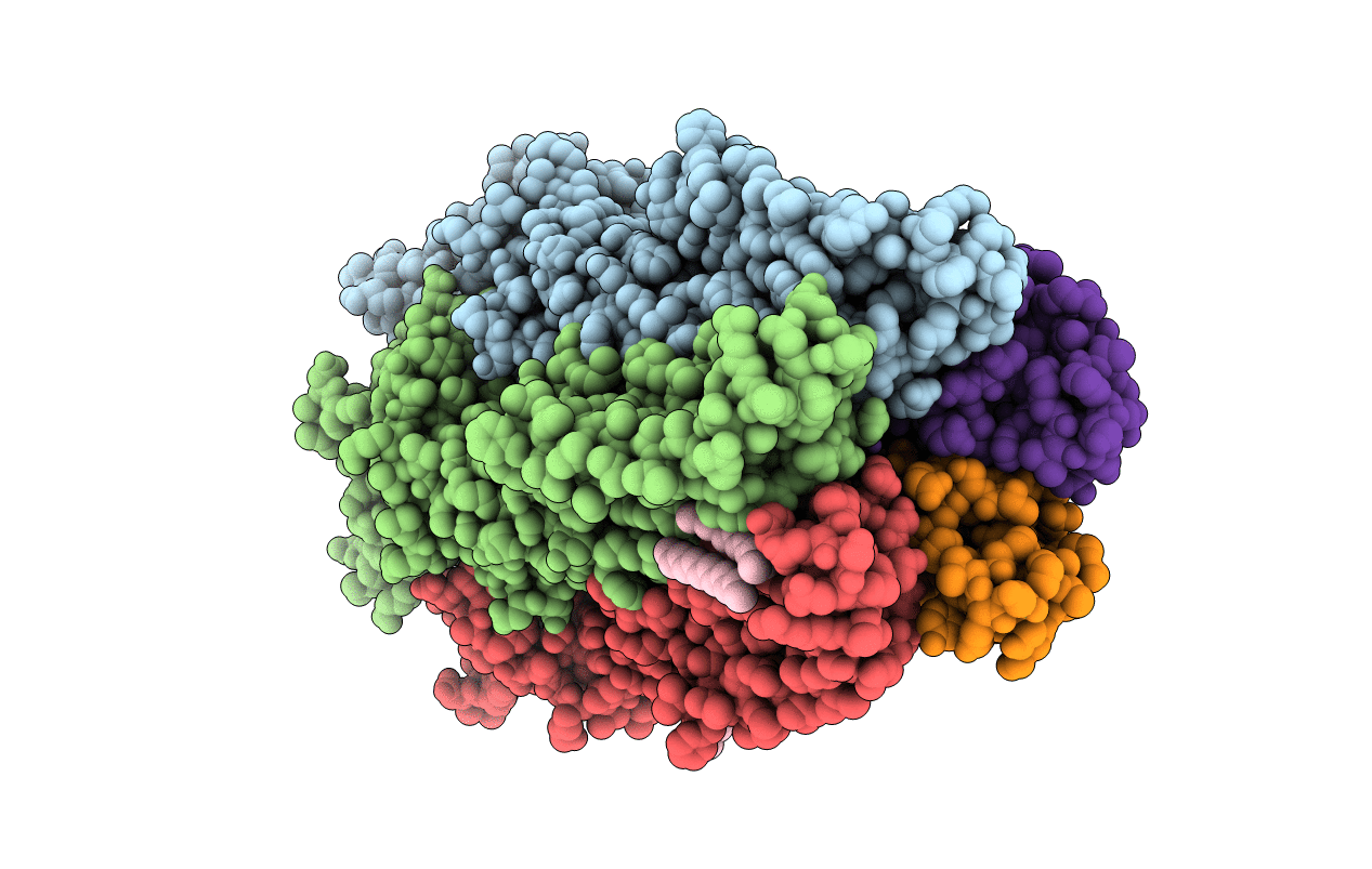 6F12 image
