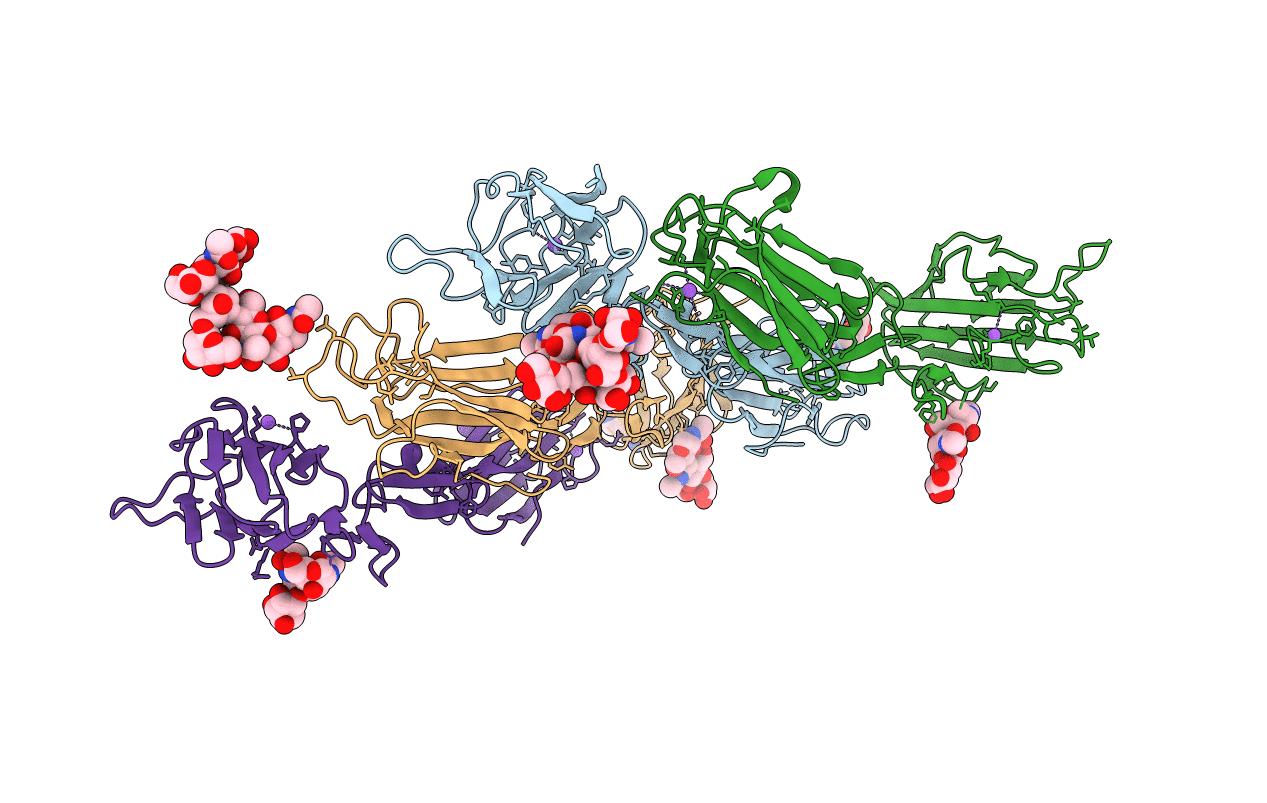 6F1H image