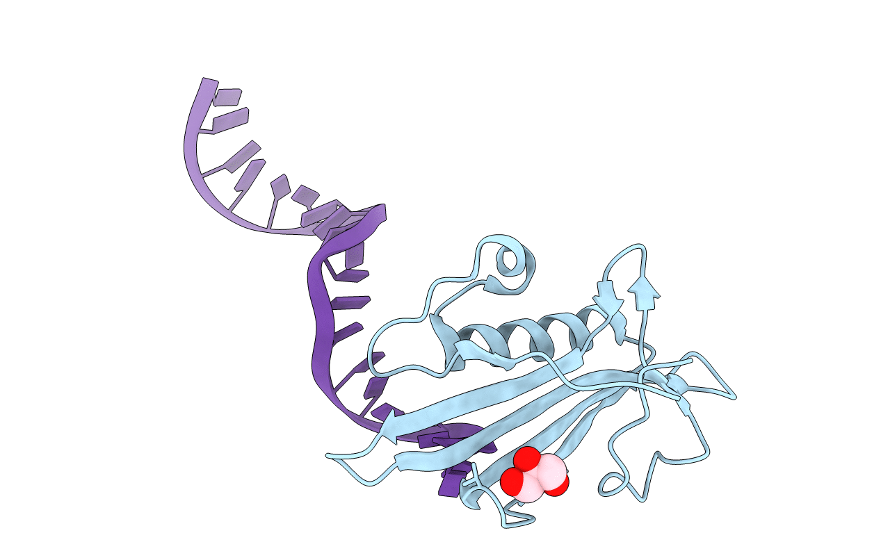 6F1K image