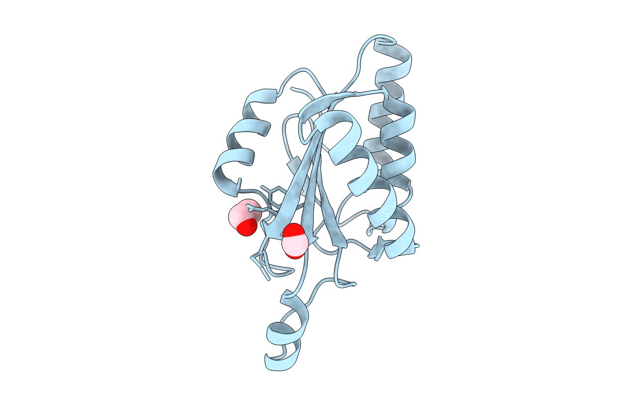 6F1S image