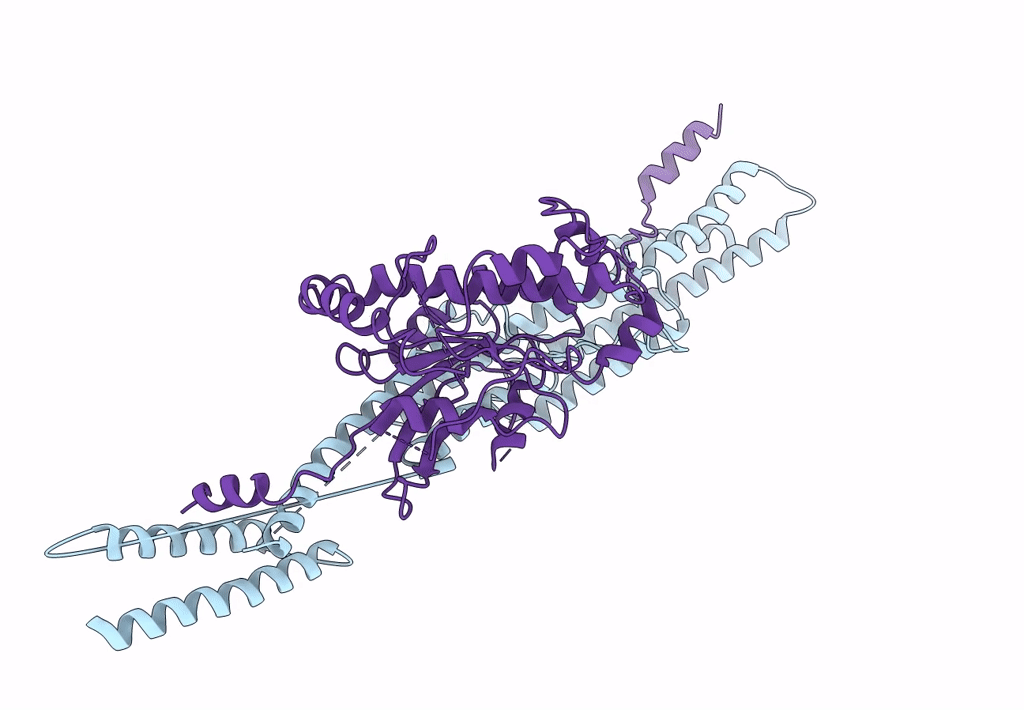 6F1Y image
