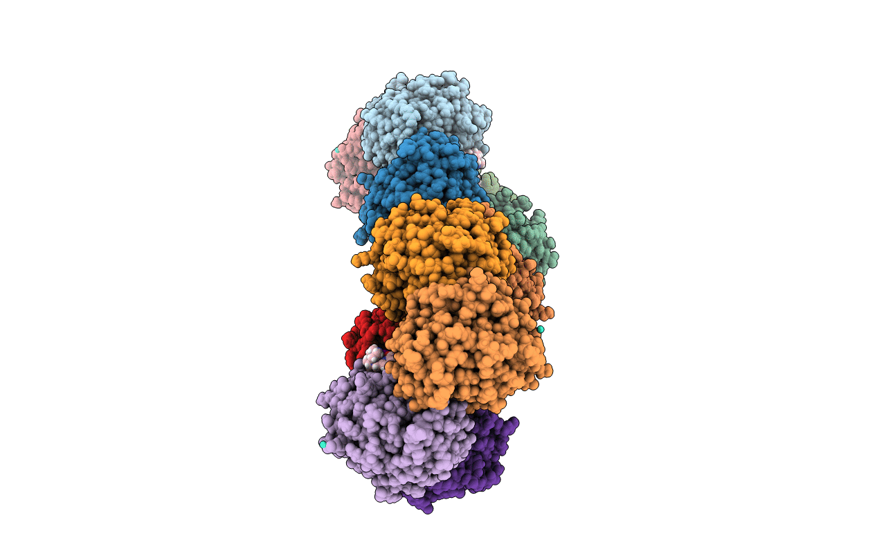 6F2H image