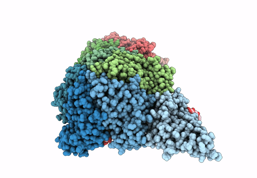 6F2S image