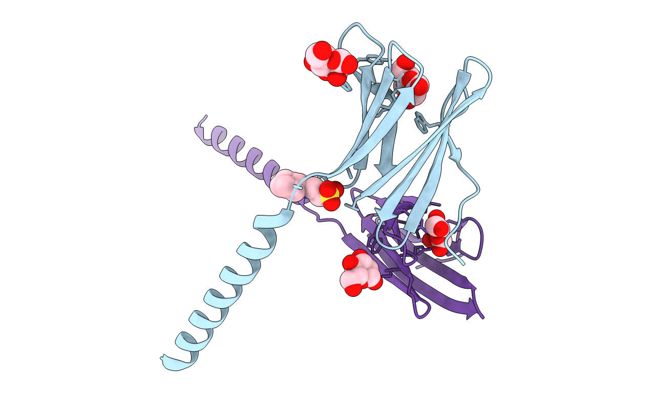 6f37 image