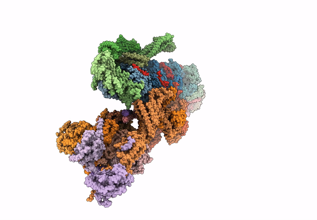 6F38 image