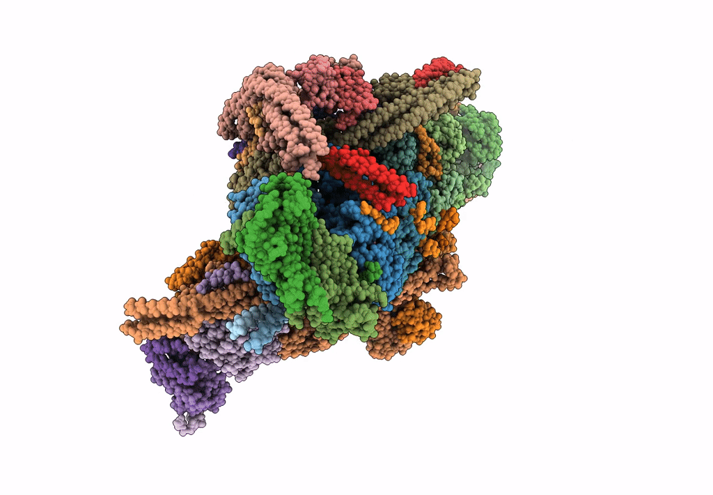 6F3A image