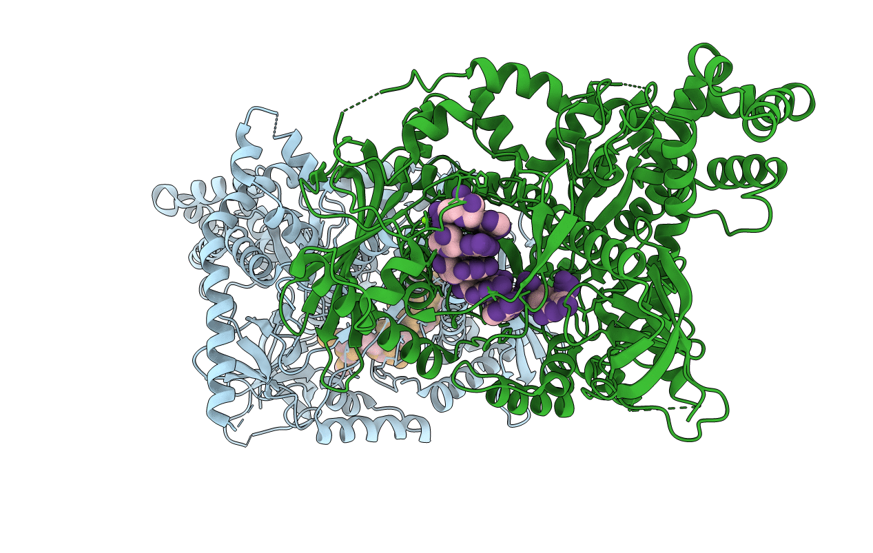 6F3H image