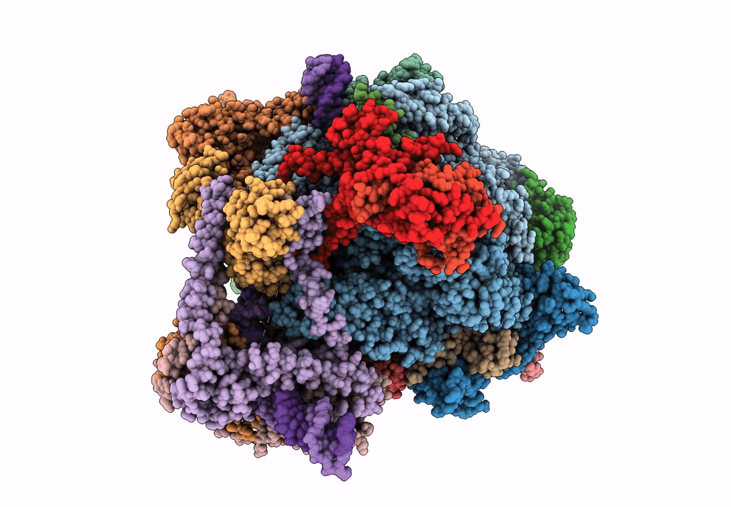 6F41 image