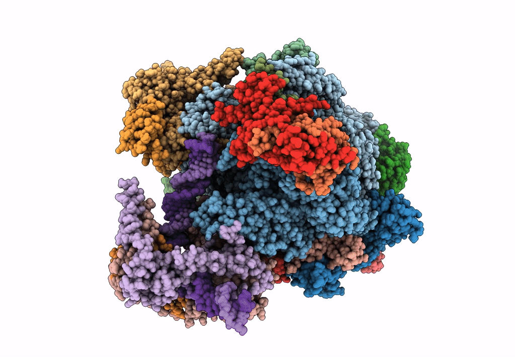 6F42 image