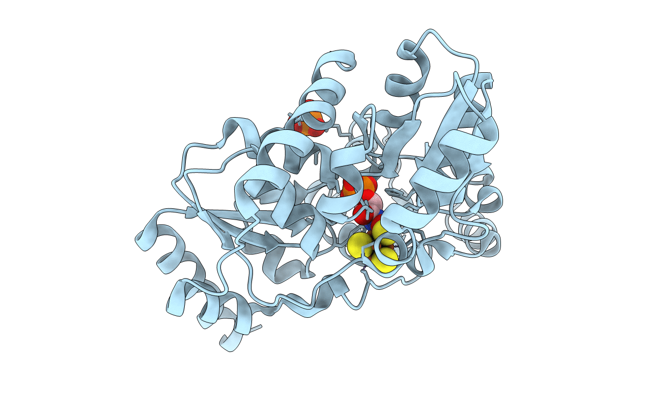 6F4D image