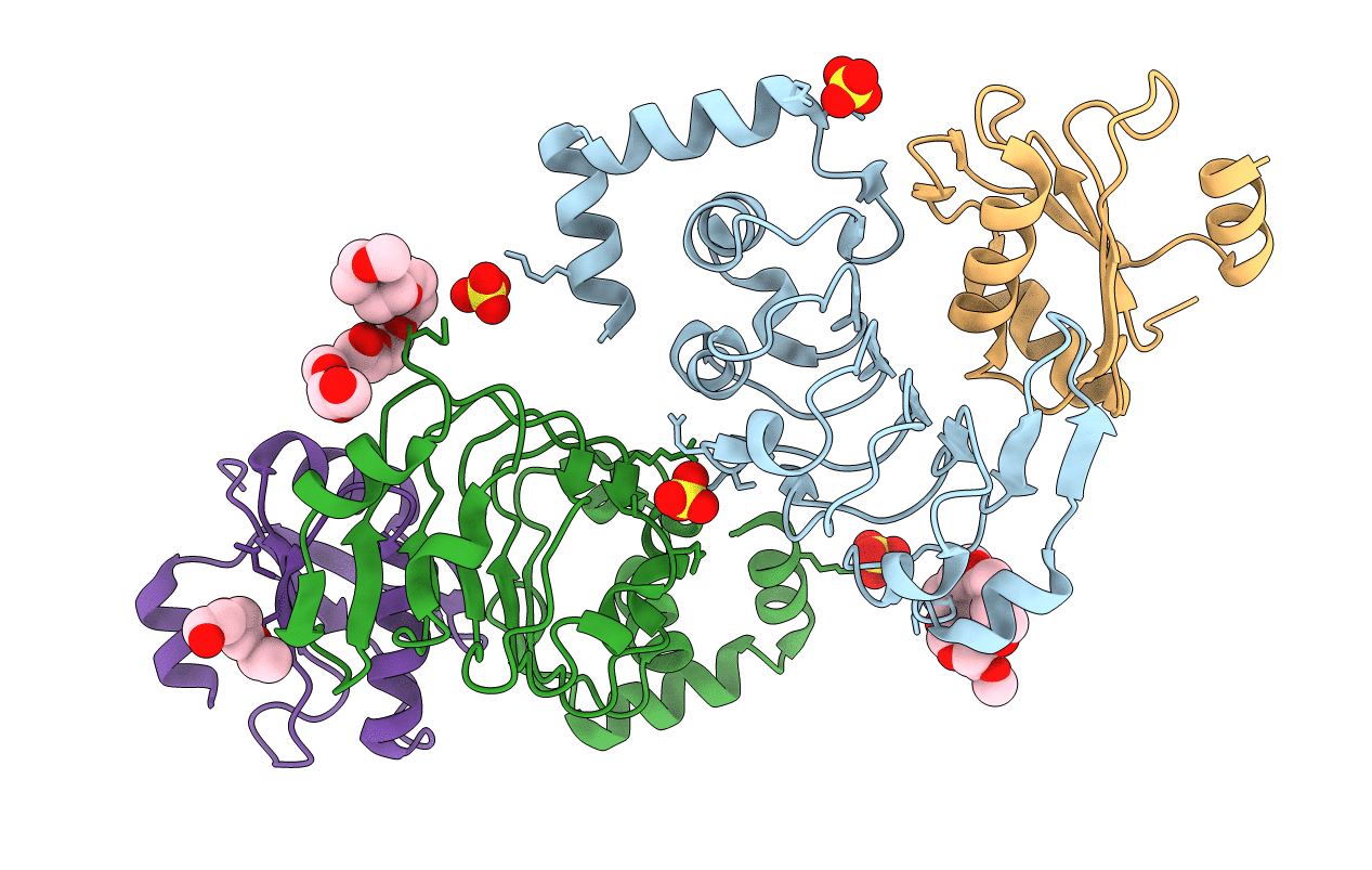 6F4J image