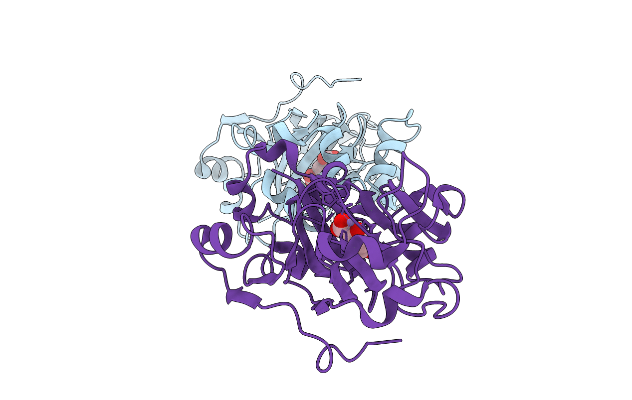 6F4N image