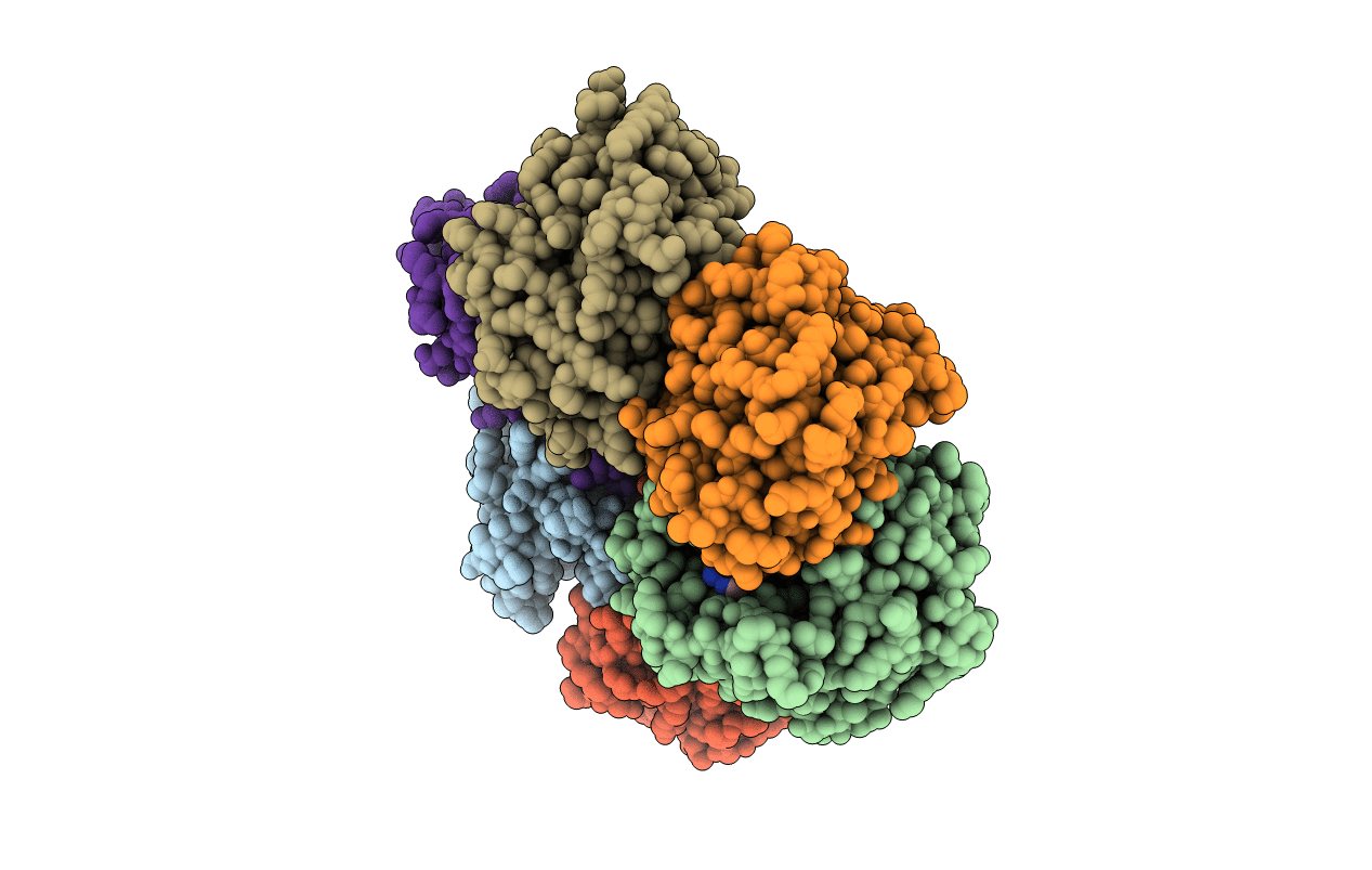 6F4W image