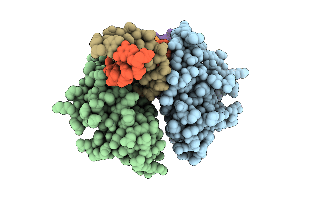 6F5B image