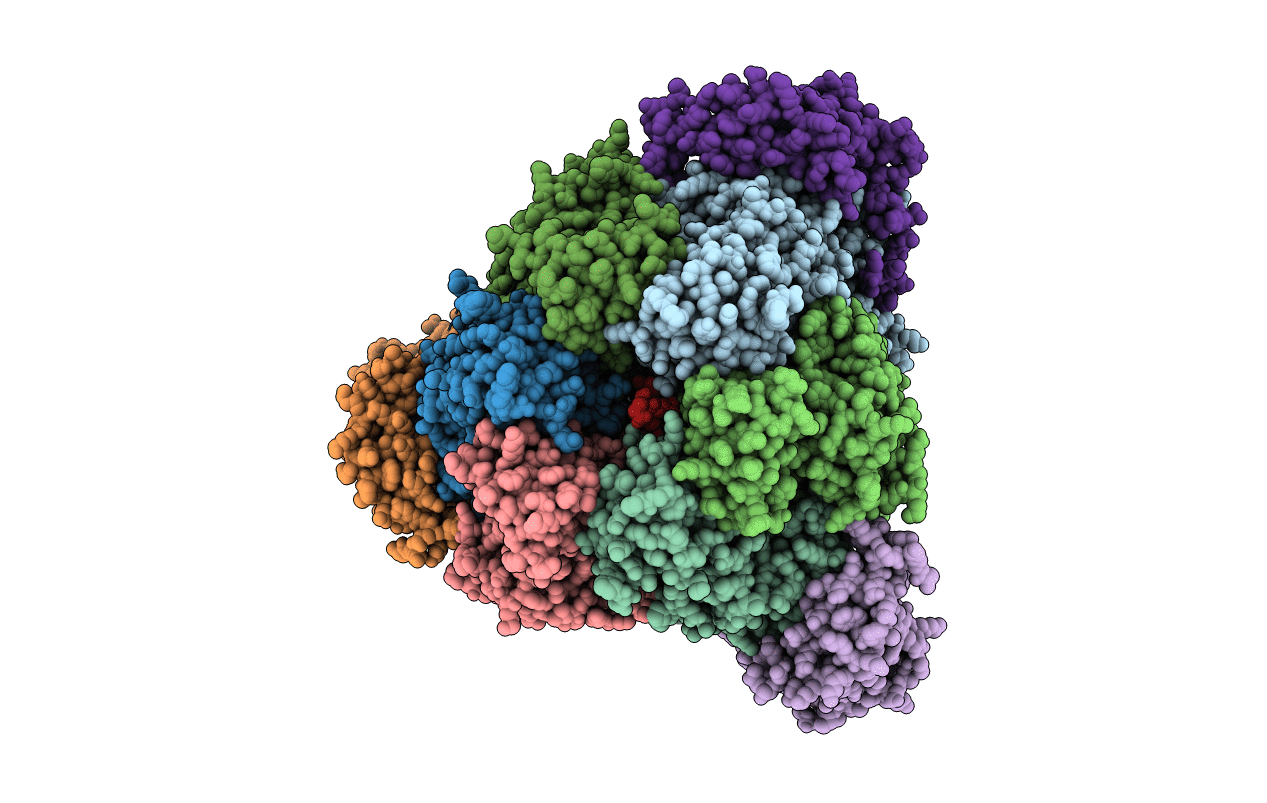 6F5D image