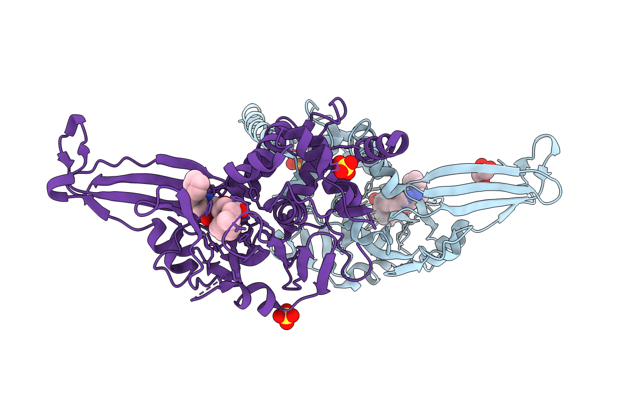 6F5H image