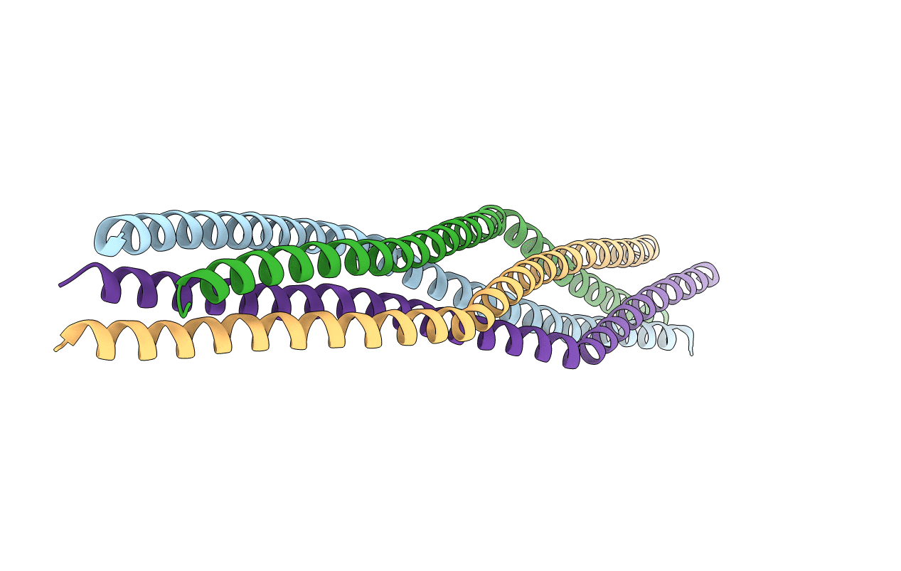 6F63 image